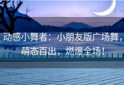 动感小舞者：小朋友版广场舞，萌态百出，燃爆全场！