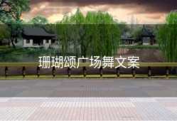珊瑚颂广场舞文案