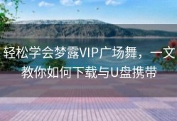 轻松学会梦露VIP广场舞，一文教你如何下载与U盘携带
