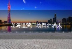 龙海追梦广场舞泪满天