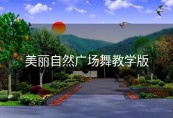 美丽自然广场舞教学版