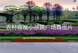 农村夜晚小孩跳广场舞图片