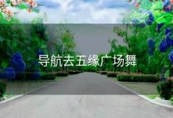 导航去五缘广场舞