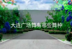大连广场舞有哪些舞种