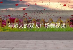 年龄大的双人广场舞视频