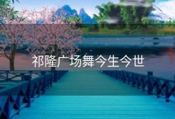 祁隆广场舞今生今世