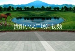 贵阳小伙广场舞视频