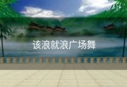 该浪就浪广场舞