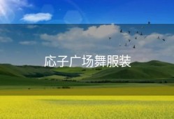 応子广场舞服装