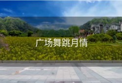 广场舞跳月情