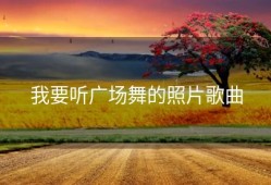我要听广场舞的照片歌曲
