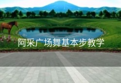 阿采广场舞基本步教学