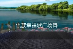 佤族幸福歌广场舞