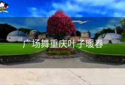 广场舞重庆叶子暖春