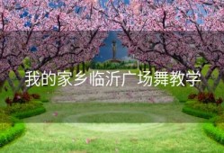 我的家乡临沂广场舞教学