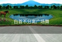 白首不分离广场舞