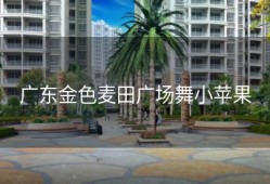 广东金色麦田广场舞小苹果