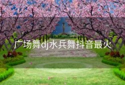 广场舞dj水兵舞抖音最火