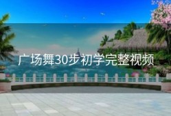 广场舞30步初学完整视频