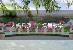 大妈马路上广场舞教学