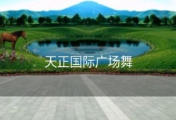 天正国际广场舞