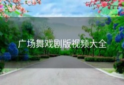广场舞戏剧版视频大全