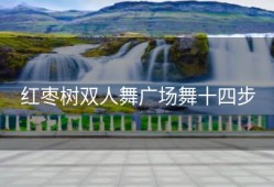 红枣树双人舞广场舞十四步