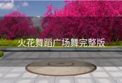 火花舞蹈广场舞完整版