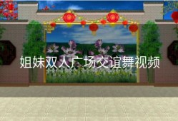 姐妹双人广场交谊舞视频