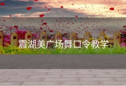 震湖美广场舞口令教学
