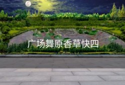 广场舞原香草快四