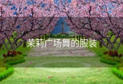 茉莉广场舞的服装