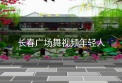 长春广场舞视频年轻人