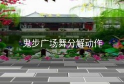 鬼步广场舞分解动作