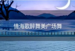 情海歌醉舞美广场舞