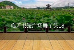 临沂书法广场舞丫头18