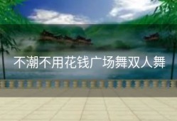 不潮不用花钱广场舞双人舞