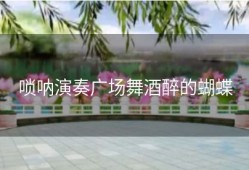 唢呐演奏广场舞酒醉的蝴蝶