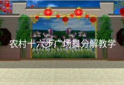 农村十六步广场舞分解教学