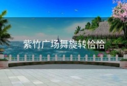 紫竹广场舞旋转恰恰