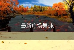 最新广场舞ok