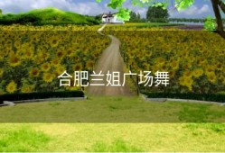 合肥兰姐广场舞