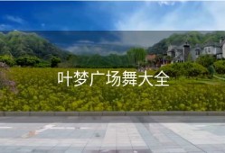 叶梦广场舞大全