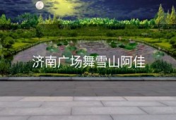 济南广场舞雪山阿佳