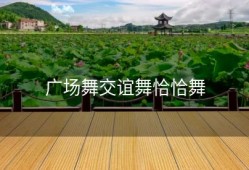 广场舞交谊舞恰恰舞