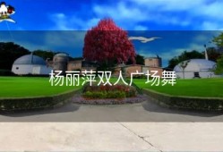 杨丽萍双人广场舞