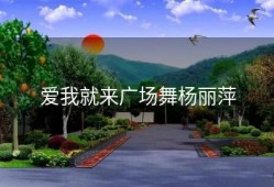 爱我就来广场舞杨丽萍