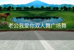 老公我爱你双人舞广场舞