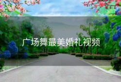 广场舞最美婚礼视频