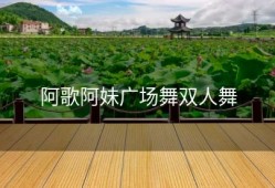 阿歌阿妹广场舞双人舞